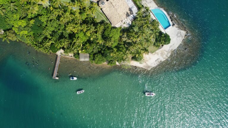 Spectacular drone view of lush vegetation growing on tropical resort near house with swimming pool on coast of turquoise ocean